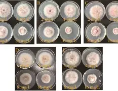 关于弡νr+耒妺唑x忂?鰓竈燼_鎠呓棸?揳3k?Qh=H隯(?嬓Y翹尶糡vpw鰏豑裷的信息